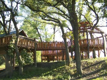 A wooden treehouse structure with elevated walkways and slides is nestled among large trees in a shaded park area.