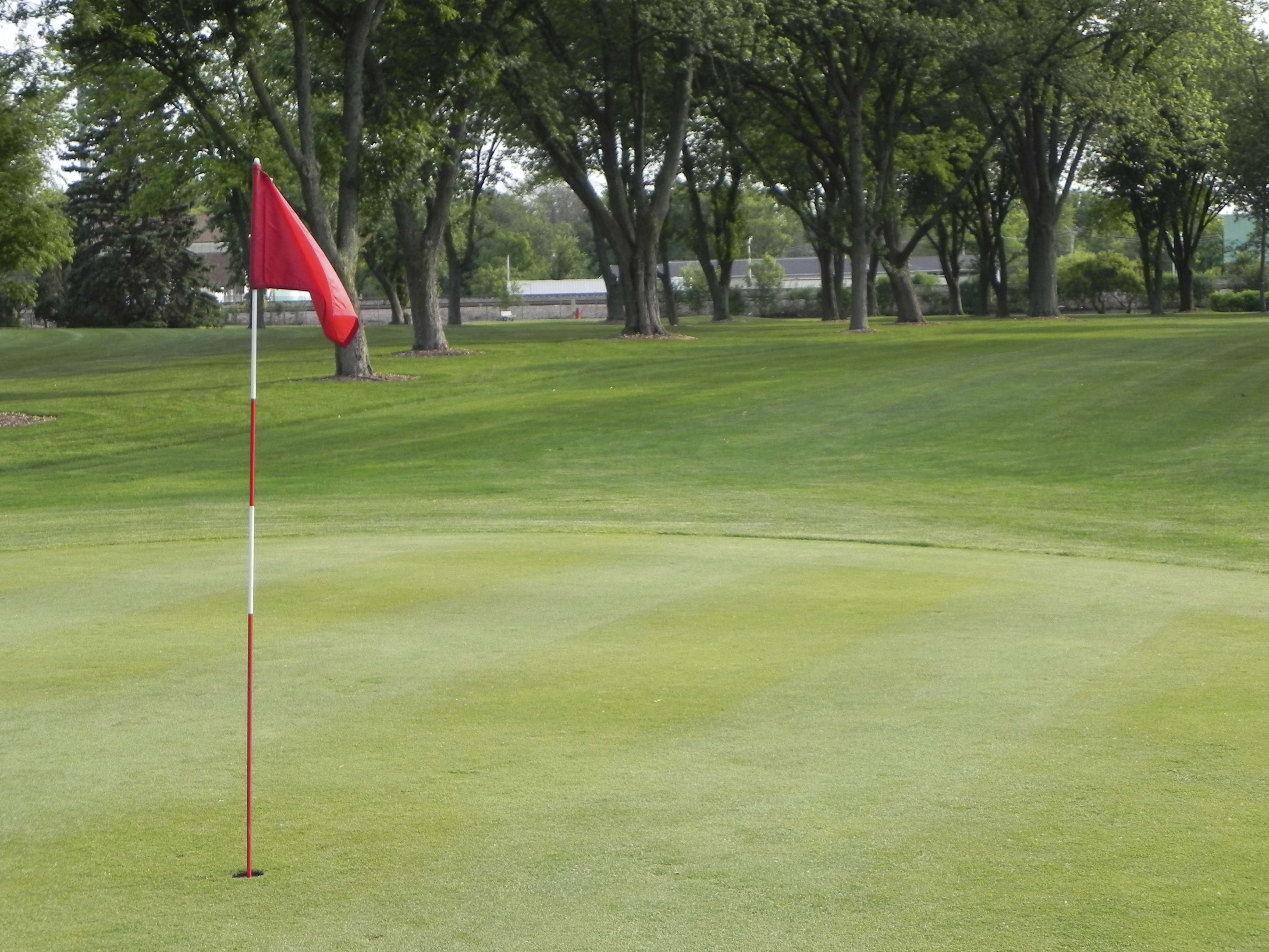 A golf green with a red flag marking the hole sits in a well-maintained course, surrounded by trees and open grassy areas.