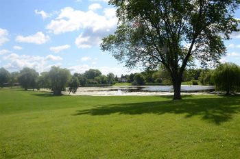 Columbus Park open field on the edge of a lake