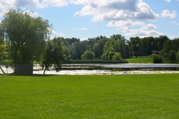 Columbus Park open field on the edge of a lake
