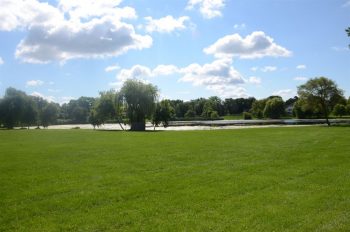 Columbus Park open field on the edge of a lake