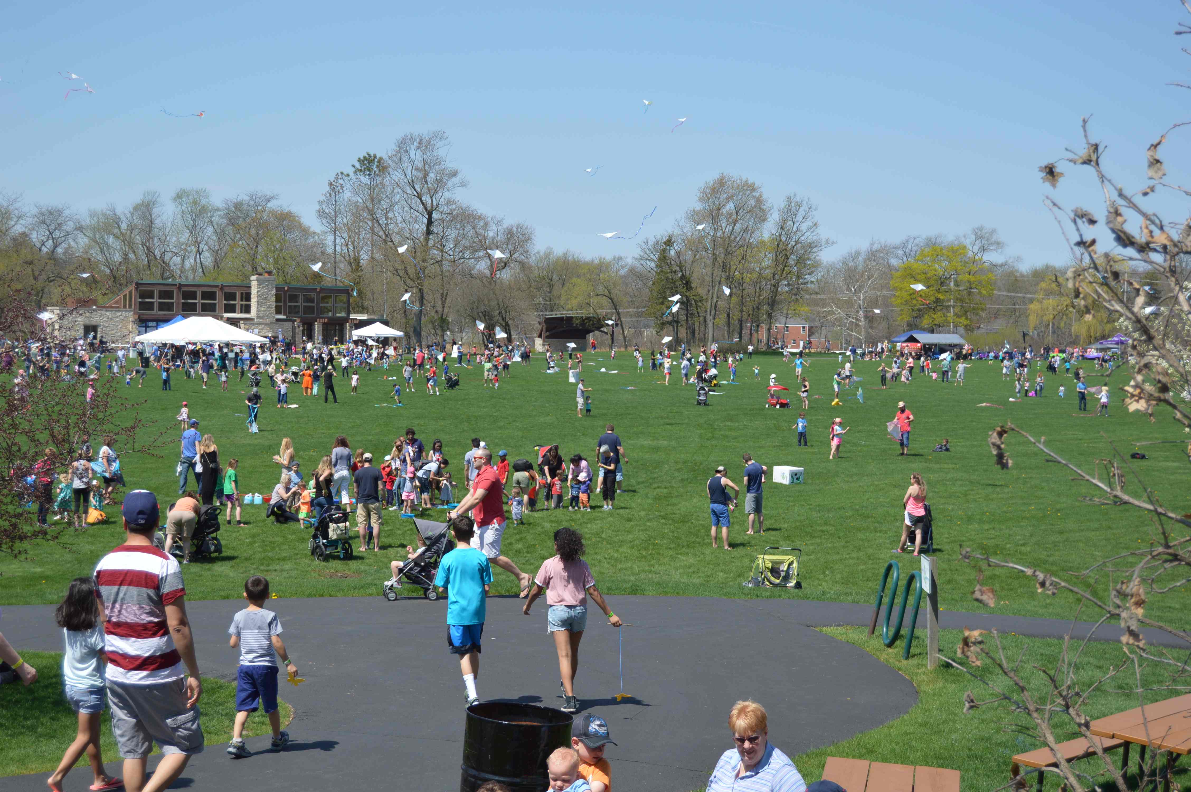 A large crowd of families and children gather across a wide grassy park for an outdoor event, with tents, activities, and kites visible throughout the area.