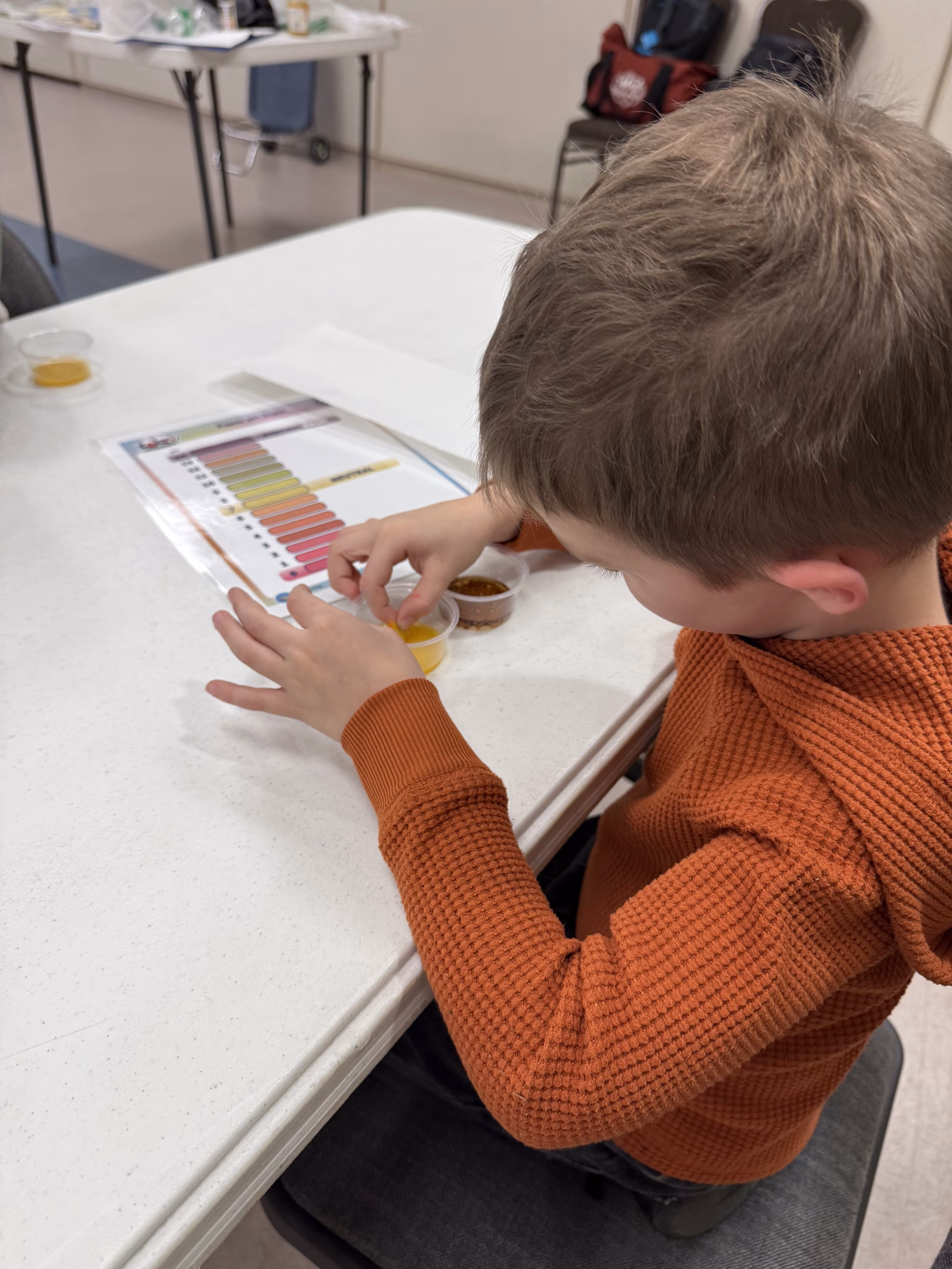A young boy sits at a table conducting a science activity, using small cups of liquid and a color chart, he dips a strip of paper into one of the samples.